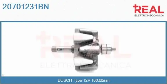 Rotor, alternator (20701231BN)