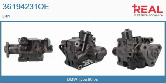 Hydraulic Pump, steering (36194231OE)