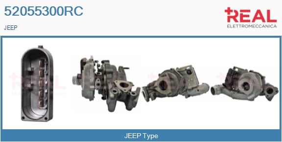 Charger, charging (supercharged/turbocharged) (52055300RC)