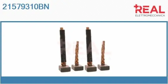 Carbon Brush, starter (21579310BN)