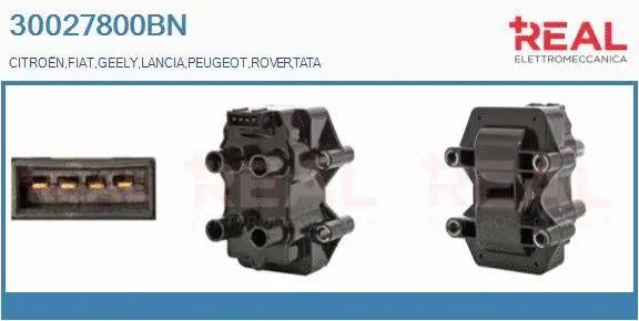 Ignition Coil (30027800BN)