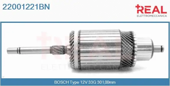 Armature, starter (22001221BN)