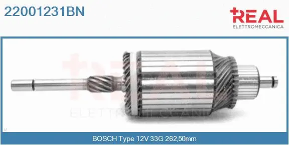 Armature, starter (22001231BN)