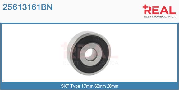 Bearing (25613161BN)