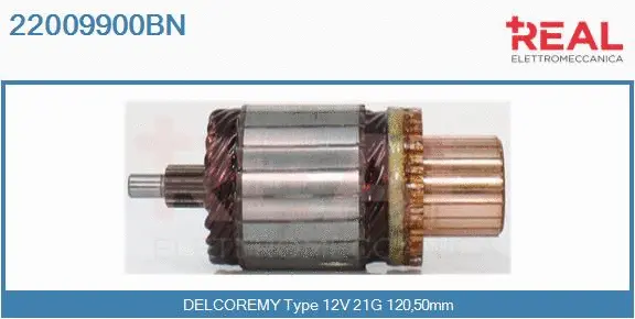 Armature, starter (22009900BN)