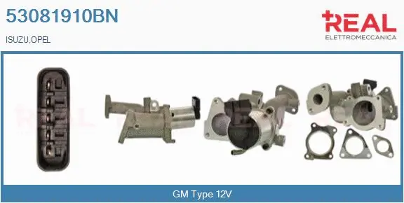 EGR Valve (53081910BN)