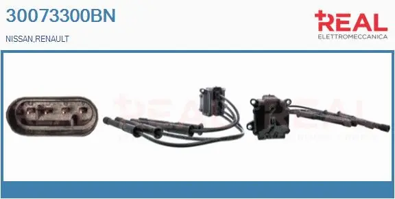 Ignition Coil (30073300BN)
