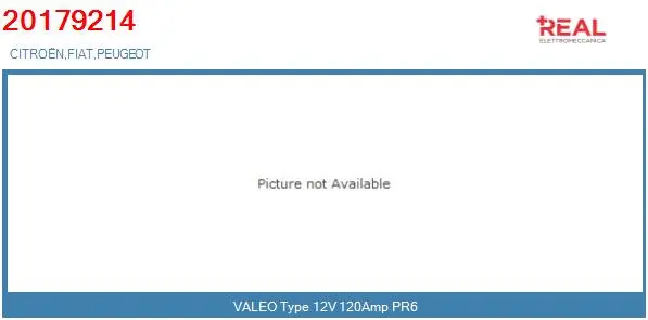 Alternator (20179214RC)