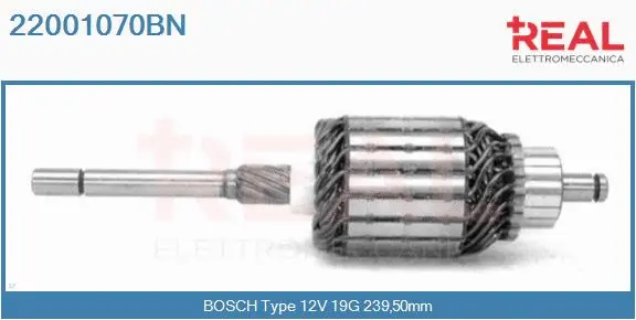 Armature, starter (22001070BN)