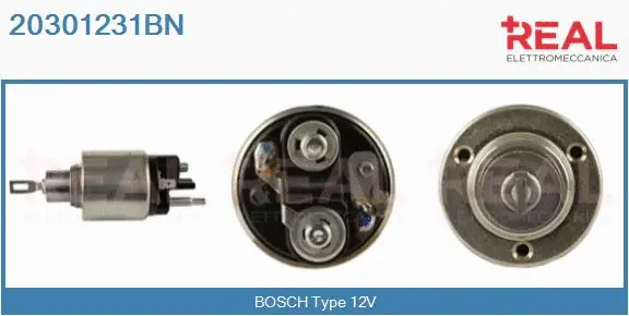 Solenoid Switch, starter (20301231BN)