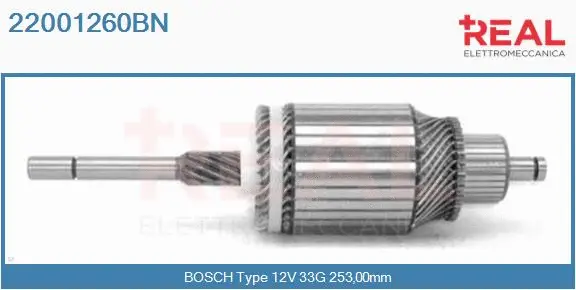 Armature, starter (22001260BN)