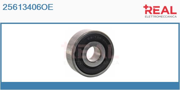 Bearing (25613406OE)
