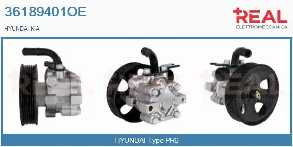 Hydraulic Pump, steering (36189401OE)