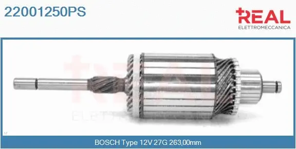 Armature, starter (22001250PS)