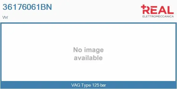 Hydraulic Pump, steering (36176061BN)