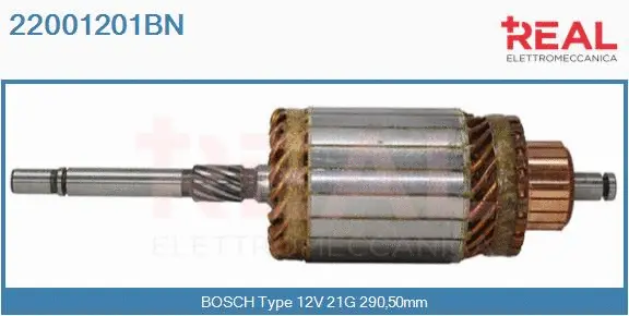 Armature, starter (22001201BN)