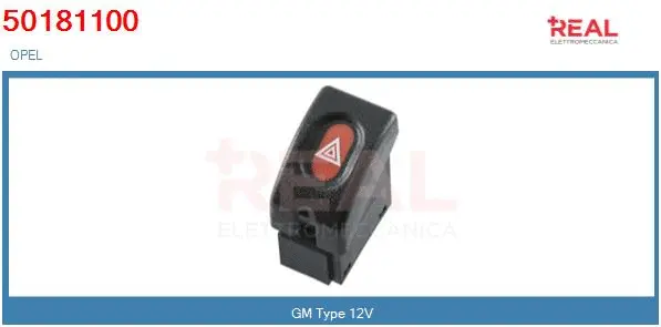 Ignition Switch (50481100BN)