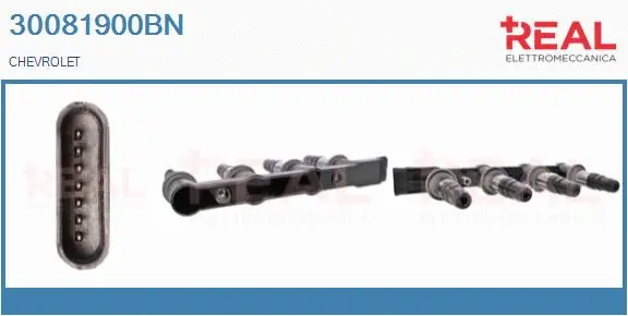 Ignition Coil (30081900BN)