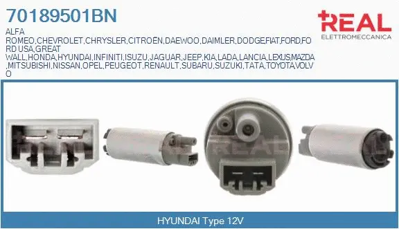 Fuel Pump (70189501BN)