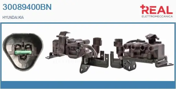 Ignition Coil (30089400BN)