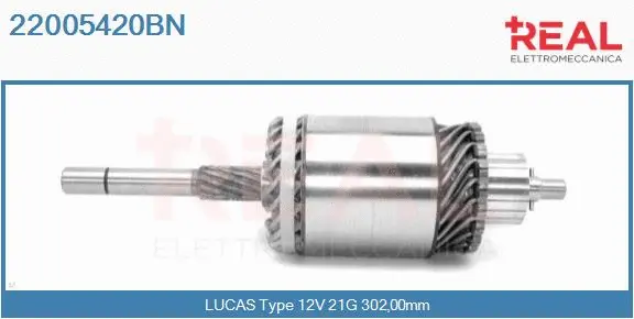 Armature, starter (22005420BN)