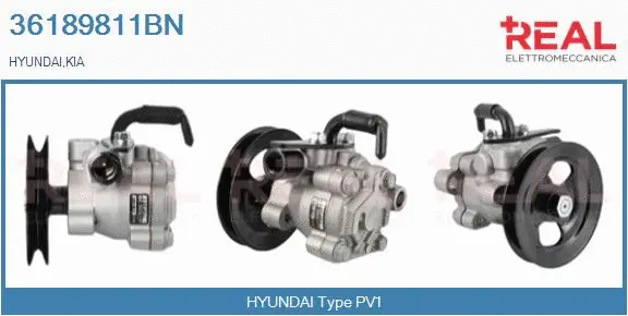 Hydraulic Pump, steering (36189811BN)