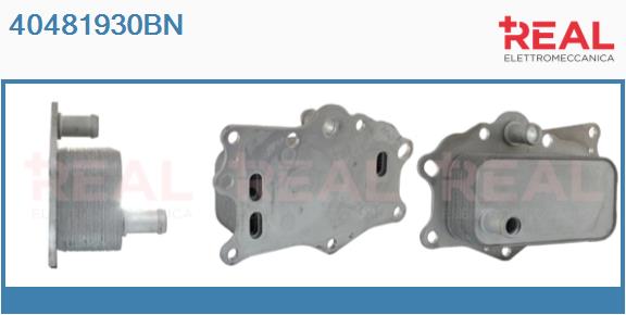 Oil Cooler, engine oil (40481930BN)