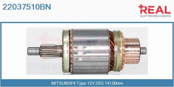 Armature, starter (22037510BN)