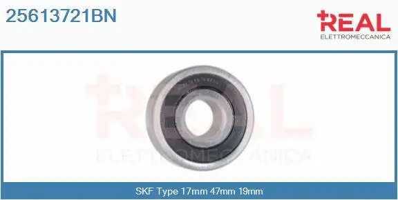 Bearing (25613721BN)