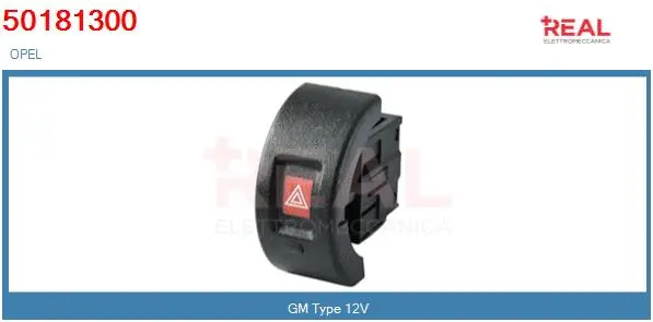 Ignition Switch (50481300BN)