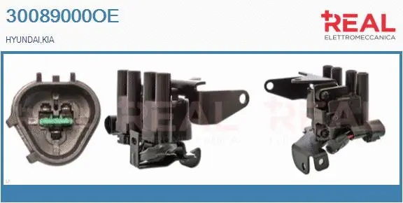 Ignition Coil (30089000OE)