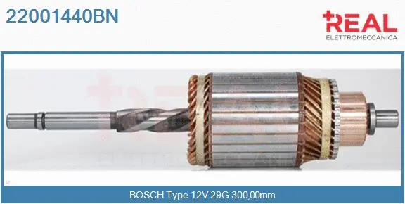 Armature, starter (22001440BN)