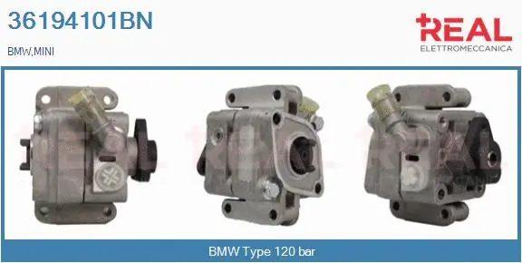 Hydraulic Pump, steering (36194101BN)