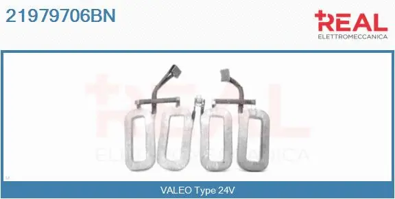 Field Winding, starter (21979706BN)