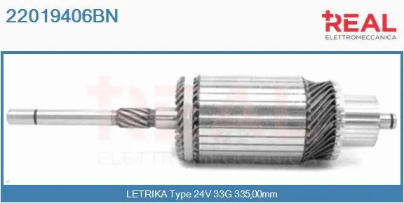 Armature, starter (22019406BN)