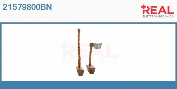 Carbon Brush, starter (21579800BN)