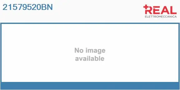 Carbon Brush, starter (21579520BN)