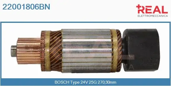 Armature, starter (22001806BN)