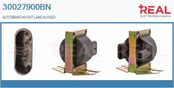 Ignition Coil (30027900BN)