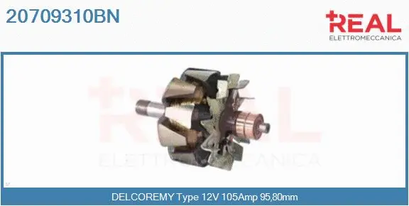 Rotor, alternator (20709310BN)