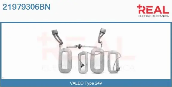 Field Winding, starter (21979306BN)