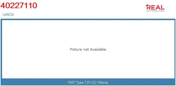 Electric Motor, radiator fan (40227110BN)