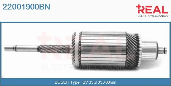 Armature, starter (22001900BN)