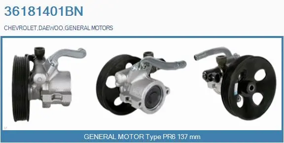 Hydraulic Pump, steering (36181401BN)