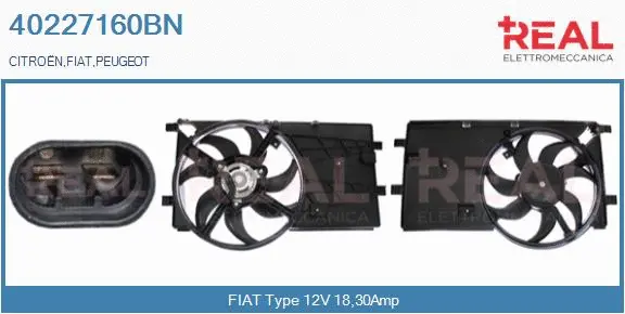 Electric Motor, radiator fan (40227160BN)
