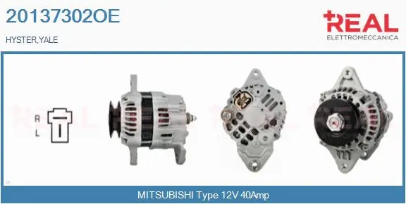 Alternator (20137302OE)