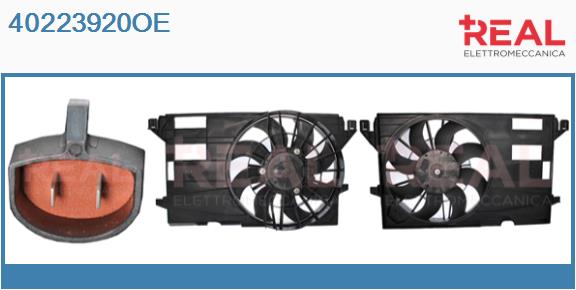 Electric Motor, radiator fan (40223920OE)