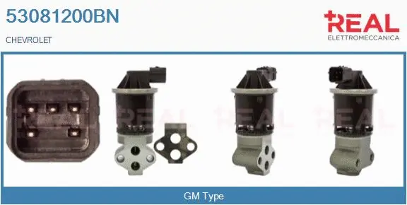 EGR Valve (53081200BN)
