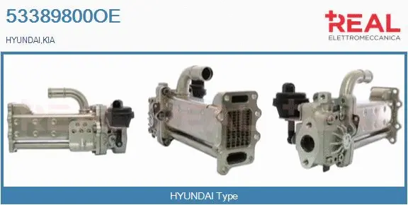 Cooler, exhaust gas recirculation (53389800OE)