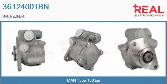 Hydraulic Pump, steering (36124001BN)